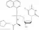 Fig. 31 - Phosphoramidate derivatives of 5-fluoro-2′-deoxyuridine for use in the treatment of cancer