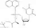 Fig. 35 - Phosphoramidate derivatives of 5-fluoro-2′-deoxyuridine for use in the treatment of cancer