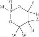 Fig. 22 - 2′-branched nucleosides and flaviviridae mutation