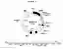 Fig. 12 - THERAPY-ENHANCING GLUCAN
