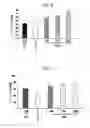 Fig. 04 - THERAPEUTIC AGENT FOR A DISEASE ACCOMPANIED BY EPILEPTIFORM DISCHARGES