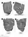 Fig. 04 - Method for producing an osteoinductive calcium phosphate and products thus obtained