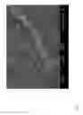 Fig. 07 - Method for producing an osteoinductive calcium phosphate and products thus obtained