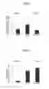 Fig. 06 - Material for Treatment of Cerebral Infarction