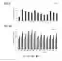 Fig. 09 - Material for Treatment of Cerebral Infarction