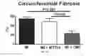 Fig. 07 - Compositions of ascorbic acid and bone morphogenetic protein 4 (BMP-4) for cell growth and uses related thereo