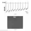 Fig. 09 - Compositions of ascorbic acid and bone morphogenetic protein 4 (BMP-4) for cell growth and uses related thereo