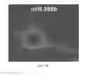 Fig. 10 - Compositions of ascorbic acid and bone morphogenetic protein 4 (BMP-4) for cell growth and uses related thereo