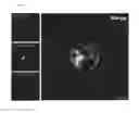 Fig. 07 - MACROMOLECULAR CLUSTERS OF CARDIAC STEM CELLS AND METHODS FOR MAKING AND USING THEM