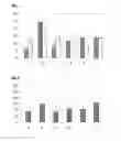 Fig. 02 - JOINT HEALTH COMPOSITIONS