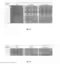 Fig. 07 - A COMPOSITION HAVING A PREBIOTIC EFFECT