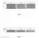 Fig. 08 - A COMPOSITION HAVING A PREBIOTIC EFFECT