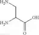 Fig. 10 - BIOCONJUGATES OF SYNTHETIC APELIN POLYPEPTIDES
