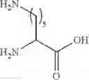Fig. 13 - BIOCONJUGATES OF SYNTHETIC APELIN POLYPEPTIDES