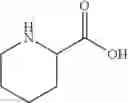 Fig. 21 - BIOCONJUGATES OF SYNTHETIC APELIN POLYPEPTIDES