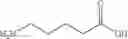 Fig. 22 - BIOCONJUGATES OF SYNTHETIC APELIN POLYPEPTIDES