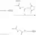 Fig. 55 - BIOCONJUGATES OF SYNTHETIC APELIN POLYPEPTIDES