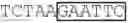 Fig. 84 - BIOCONJUGATES OF SYNTHETIC APELIN POLYPEPTIDES
