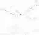 Fig. 93 - BIOCONJUGATES OF SYNTHETIC APELIN POLYPEPTIDES