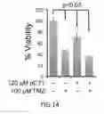 Fig. 15 - METHODS OF TREATING A CANCER THROUGH TARGETED DISRUPTION OF ALPHA CONNEXIN 43-ZONULA OCCLUDENS-1 (ZO-1) INTERACTION
