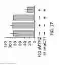 Fig. 18 - METHODS OF TREATING A CANCER THROUGH TARGETED DISRUPTION OF ALPHA CONNEXIN 43-ZONULA OCCLUDENS-1 (ZO-1) INTERACTION