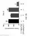 Fig. 21 - METHODS OF TREATING A CANCER THROUGH TARGETED DISRUPTION OF ALPHA CONNEXIN 43-ZONULA OCCLUDENS-1 (ZO-1) INTERACTION