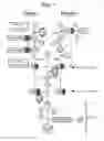 Fig. 02 - METHOD OF TREATING MYASTHENIA GRAVIS