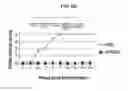 Fig. 12 - METHOD OF TREATING MYASTHENIA GRAVIS