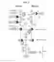 Fig. 02 - METHOD OF TREATING PERIPHERAL NERVE DISORDERS