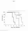 Fig. 15 - Protection against apoptosis from ionizing radiation
