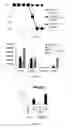 Fig. 02 - METHODS AND PHARMACEUTICAL COMPOSITIONS FOR THE TREATMENT OF ACUTE EXACERBATIONS OF CHRONIC OBSTRUCTIVE PULMONARY DISEASE