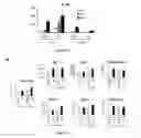 Fig. 04 - METHODS AND PHARMACEUTICAL COMPOSITIONS FOR THE TREATMENT OF ACUTE EXACERBATIONS OF CHRONIC OBSTRUCTIVE PULMONARY DISEASE