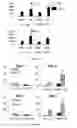 Fig. 08 - METHODS AND PHARMACEUTICAL COMPOSITIONS FOR THE TREATMENT OF ACUTE EXACERBATIONS OF CHRONIC OBSTRUCTIVE PULMONARY DISEASE