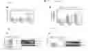 Fig. 19 - SYSTEMIC DELIVERY OF VIRUS VECTORS ENCODING UROCORTIN-2 AND RELATED GENES TO TREAT DIABETES-RELATED CARDIAC DYSFUNCTIONS AND CONGESTIVE HEART FAILURE