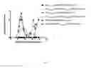Fig. 02 - COMPOSITIONS AND METHODS FOR INDUCTION OF ANTIGEN-SPECIFIC TOLERANCE