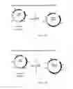 Fig. 06 - EV71 virus-like particles and preparation method and application thereof
