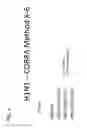 Fig. 07 - Computationally optimized broadly reactive antigens for H1N1 influenza