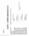Fig. 08 - Computationally optimized broadly reactive antigens for H1N1 influenza