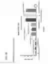 Fig. 16 - Computationally optimized broadly reactive antigens for H1N1 influenza