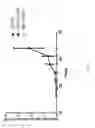 Fig. 11 - Mini-intronic plasmid DNA vaccines in combination with LAG3 blockade
