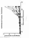 Fig. 13 - Mini-intronic plasmid DNA vaccines in combination with LAG3 blockade