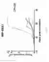 Fig. 19 - Mini-intronic plasmid DNA vaccines in combination with LAG3 blockade