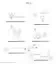 Fig. 02 - Directed differentiation of oligodendrocyte precursor cells to a myelinating cell fate