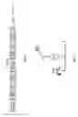 Fig. 07 - RNA-CODED ANTIBODY