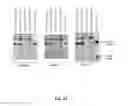 Fig. 20 - RNA-CODED ANTIBODY