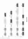 Fig. 03 - RNA-CODED ANTIBODY
