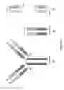 Fig. 06 - RNA-CODED ANTIBODY