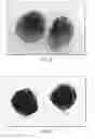 Fig. 03 - Method of treating cancer