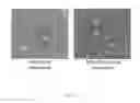 Fig. 08 - METHOD FOR AMELIORATING LIVER FIBROSIS BY USING NANOPARTICLE CONTAINING TYROSINE KINASE INHIBITOR
