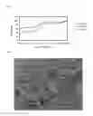 Fig. 03 - DELIVERY COMPOSITION FOR TOPICAL APPLICATIONS AND INJECTIONS AND OPHTHALMIC FORMULATIONS, METHODS FOR MANUFACTURING THEREOF, AND METHODS FOR DELIVERY OF A DRUG-DELIVERY COMPOSITION